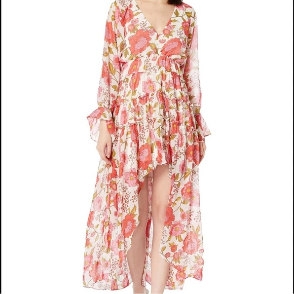 NWT Steve Madden Sol Vintage High Low Floral Ruffle Fairy Garden Dress size XS - Picture 1 of 16